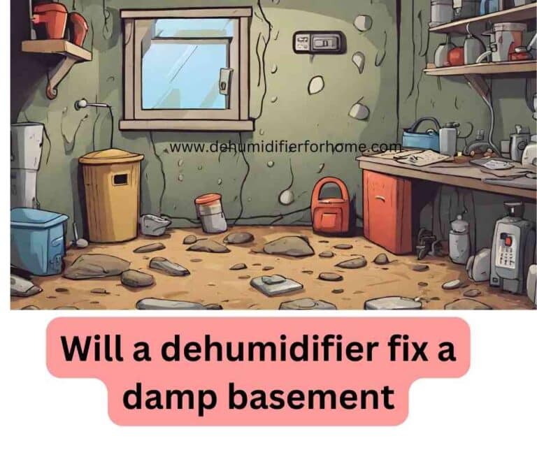 Will a dehumidifier fix a damp basement