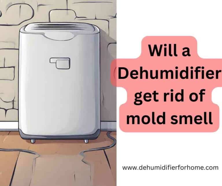 Will a dehumidifier get rid of mold smell